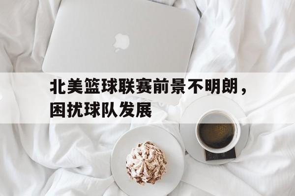 九游体育app-北美篮球联赛前景不明朗，困扰球队发展的简单介绍