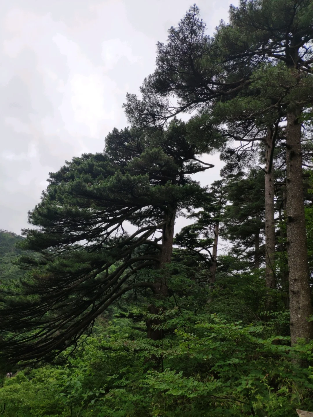 九游体育在线-安徽前进步履维艰，主场击败